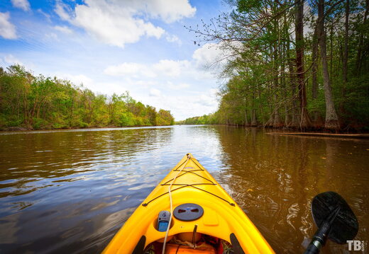 NC Kayaking 2014